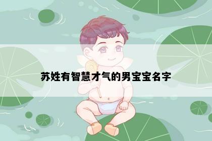 苏姓有智慧才气的男宝宝名字